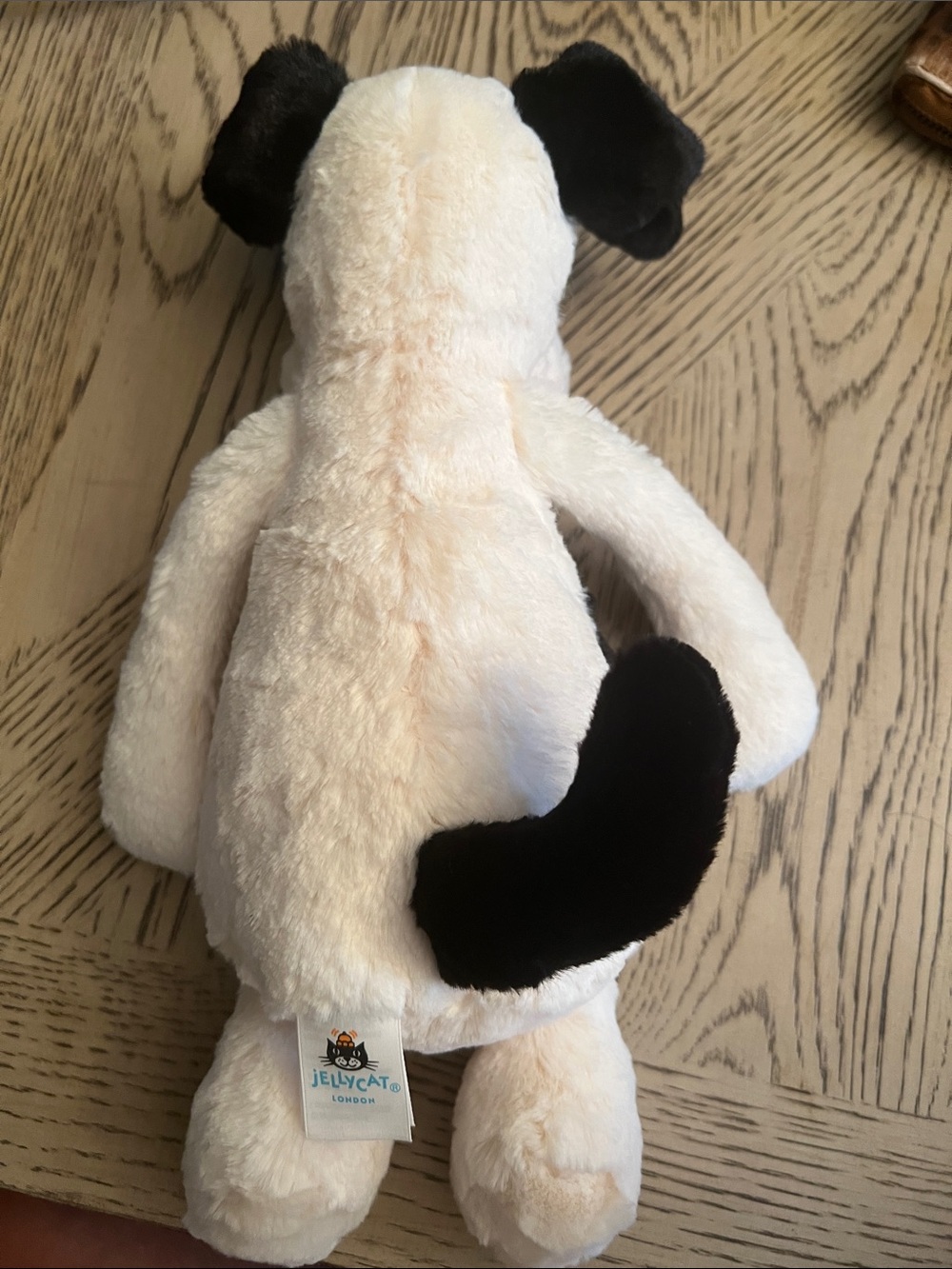 Jellycat Bashful Black & Cream Puppy - Picture 3 of 3